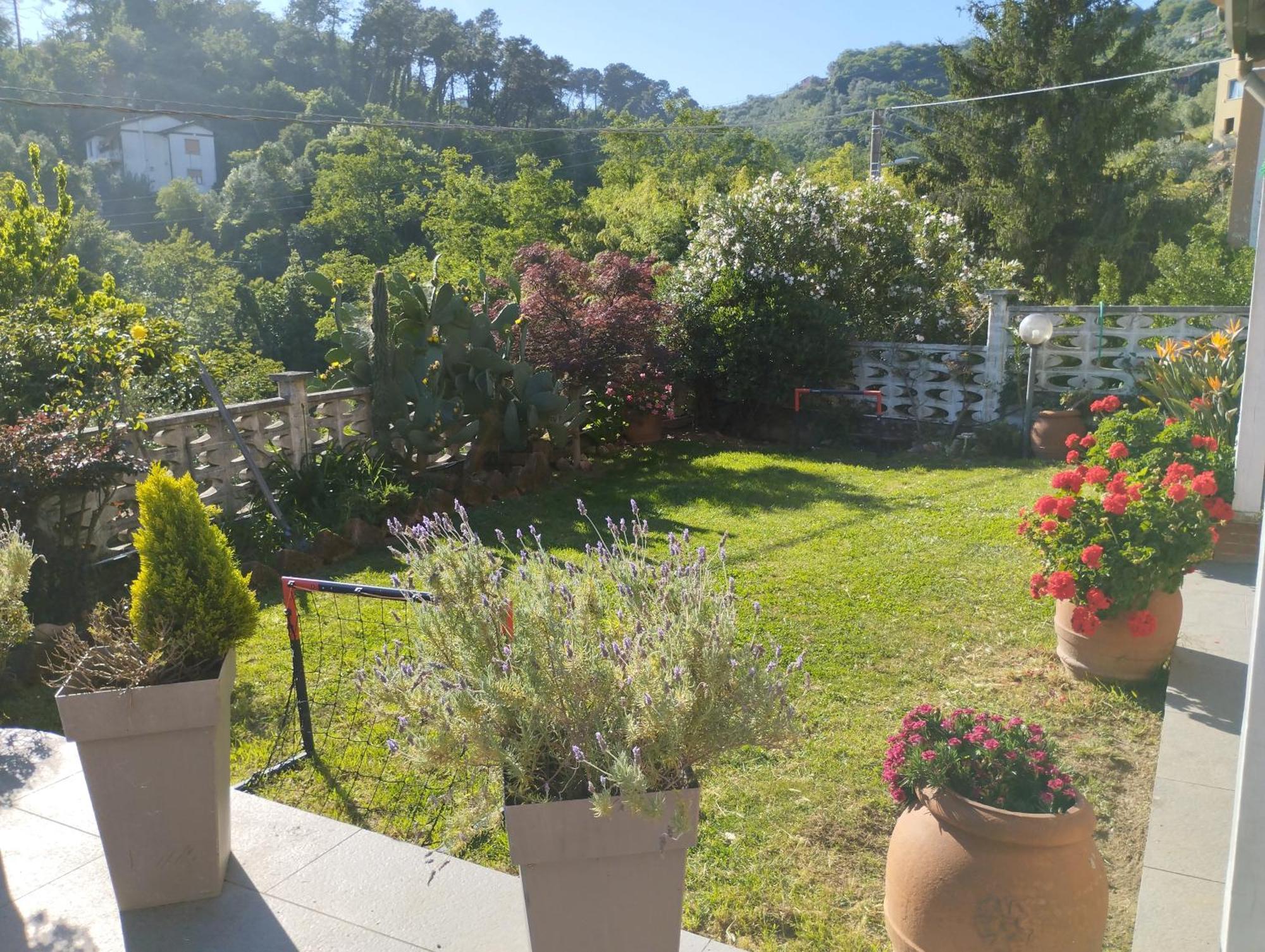 Onde Te Ve? Apartment La Spezia Zewnętrze zdjęcie